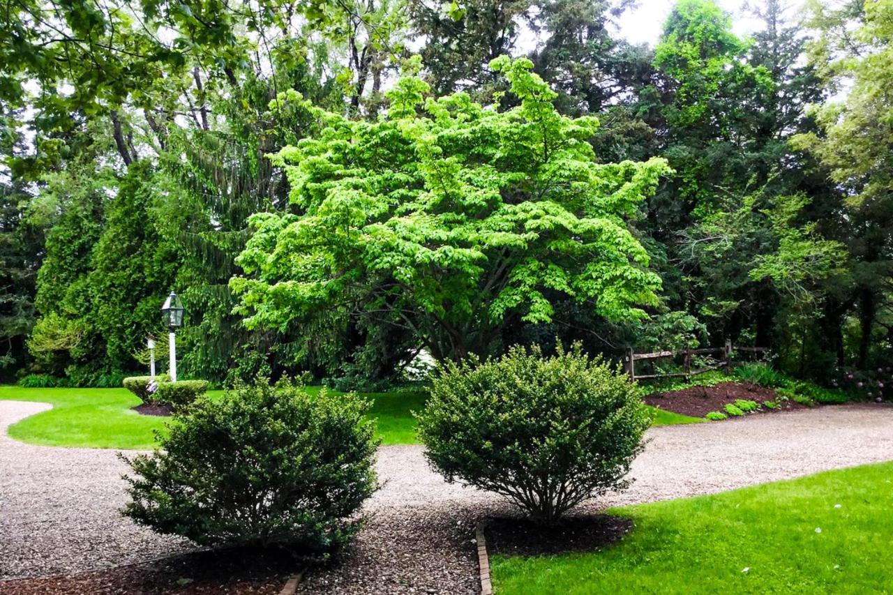 Lily Hill Βίλα Vineyard Haven Εξωτερικό φωτογραφία