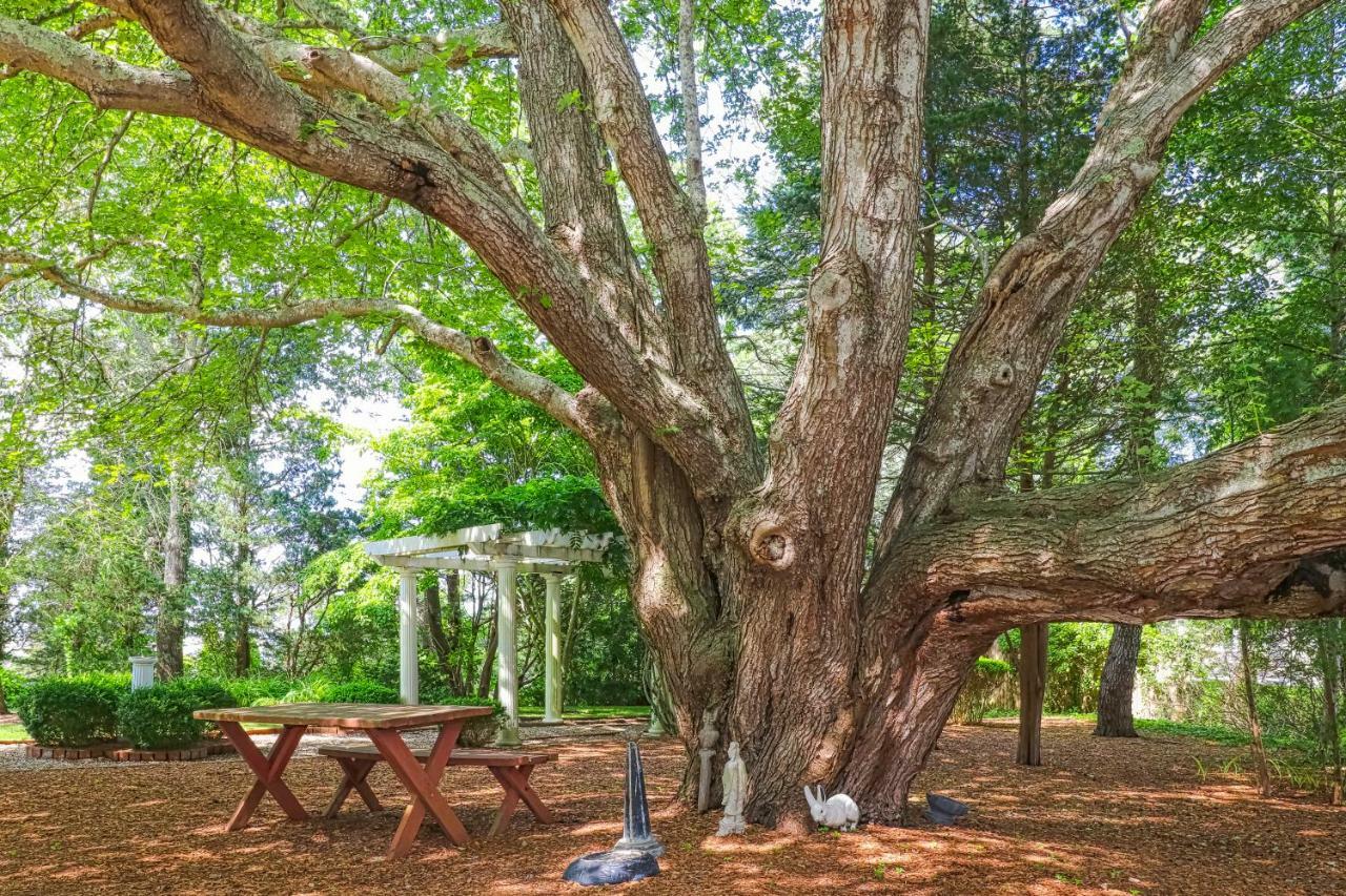Lily Hill Βίλα Vineyard Haven Εξωτερικό φωτογραφία